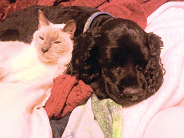 Grandmother’s legacy lives on at Lucky Paws